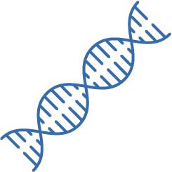 Biology | Molecular and Cellular Biology